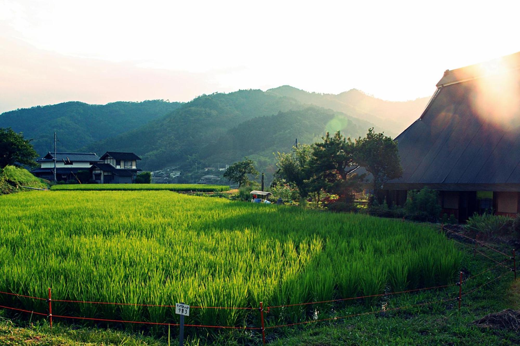 古民家の宿 ふるま家 Furumaya House Gastronomic Farmstay In Deep Kyoto Fukuchiyama Exterior foto